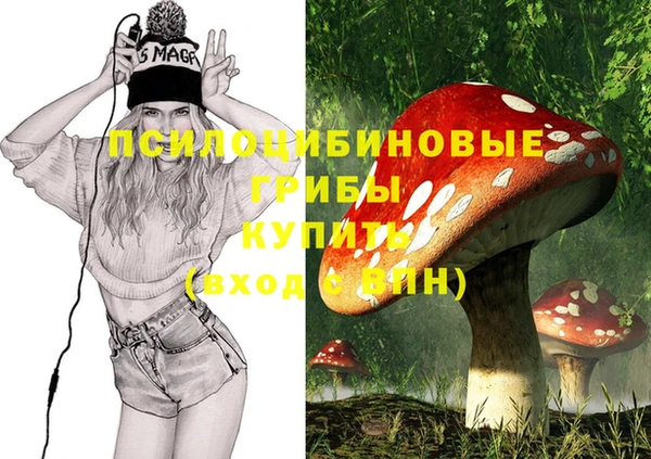 каннабис Гусев