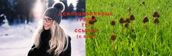 каннабис Гусев
