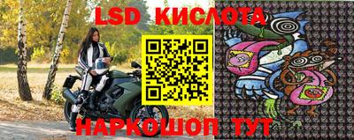 эйфоретик Новодвинск