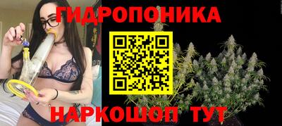 эйфоретик Новодвинск