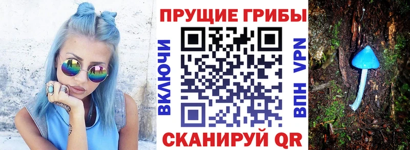 Псилоцибиновые грибы ЛСД KRAKEN ТОР Добрянка где продают